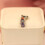 S925 Silver parrot string and pendant accessory  Pandora Style 6