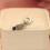 S925 Silver parrot string and pendant accessory  Pandora Style 7