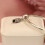 S925 Silver parrot string and pendant accessory  Pandora Style 8