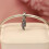 S925 Silver parrot string and pendant accessory  Pandora Style 9