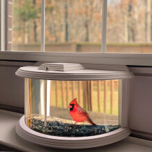 BAIAPEY Window Bird Feeder - 180? Clear View Bird Feeder, Durable, Elegant in-Window Bird Feeder for Bird Watching - Bring Joy to Your Home.