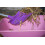 horizont Swedish 34711LI Manure Fork Shavings Fork Purple 2