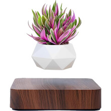 Levitating Air Bonsai Pot, Rotation Flower Pot Planters, Magnetic Levitation Suspension Floating Pot, Potted Plant Home Desk Decor in Flower Pots &