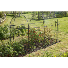 Haxnicks Steel Long Fruit Cage Frame | Bird Netting Plant Protection For Fruit Bushes | Gooseberry Currants Raspberries | Black, 300 x 100 x 150cm