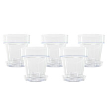 Kalapanta Clear Plastic Orchid Pot with Drainage Holes and Saucer (5, 14 cm Diameter)