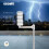 Ecowitt Wireless Lightning Detector Sensor, Accessory Sensor for Ecowitt Weather Station Ecosystem, WH57 4
