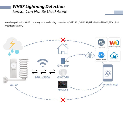 Ecowitt Wireless Lightning Detector Sensor, Accessory Sensor for Ecowitt Weather Station Ecosystem, WH57 2