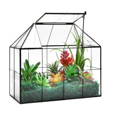 Large Glass Greenhouse Succulent Plant Terrarium with lid Geometric Tabletop
