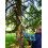WORX WORX WA4301 Extension Pole for Pruner Saw WG324E 3