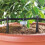 Claber Claber 8063 aqua-magic System, Black/Orange/Grey, 295x305x75 cm 4