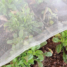Garden Insect Netting Fine Mesh: 3x30m Vegetable Protection Net Butterfly Netting for Plant Fruit Carrot fly Crop Protect Anti Bug Pest Silver