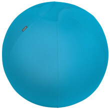 Leitz Active Sitting Ball, Ergonomically Designed Desk Chair Alternative, 65cm Diameter, Includes Fabric Ball Cover, Hand Air Pump & 2 x Plugs, Ergo