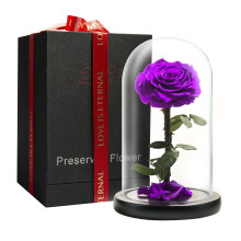 LOVAPPY Preserved Forever Rose in Glass Dome - Beauty and the Beast Romantic Gifts for Her - Eternal Rose Preserved Flowers - Preserved Rose Mother
