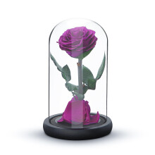 Eternal Forever Rose | Fresh Rose Gift | Single Rose Preserved for 5 Years | Handcrafted | Gifts for Women Birthday unique Unusual | Mother?s Day,