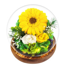 Touloube Mothers Day Chrysanthemum Flowers Gifts for Women, Real Stabilized Sunflower Glass Dome, Eternal Sunflower with LED Lights&Gift Box, Advanced
