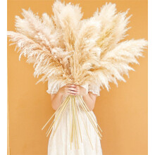 Bannifll 46-inch Natural Pampas Grass Decor Tall with 10 Stems. Perfect for Weddings, Parties, Farmhouse, and Boho Home Decor.