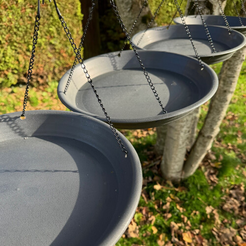 Selections Large Bird Feeder Seed Catcher Tray (Set of 4) 1