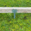 Selections Straight Railway Sleeper Brackets (Pack of 10) 5