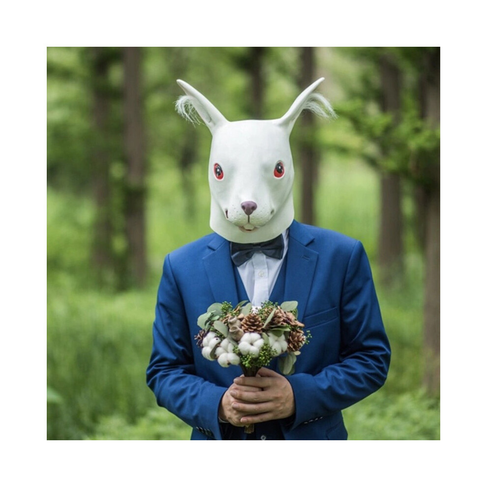 (Rabbit mask) Monkey Mask Full Face Real Latex Mascara Animal Head Hood Halloween Carnival-image-OPC-PGNDNMZ-NEW