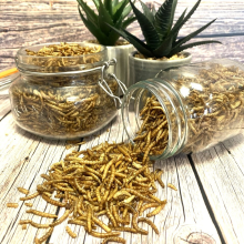 Premium Dried Mealworms, 2.4kg - 15 Litre Wild Bird Food