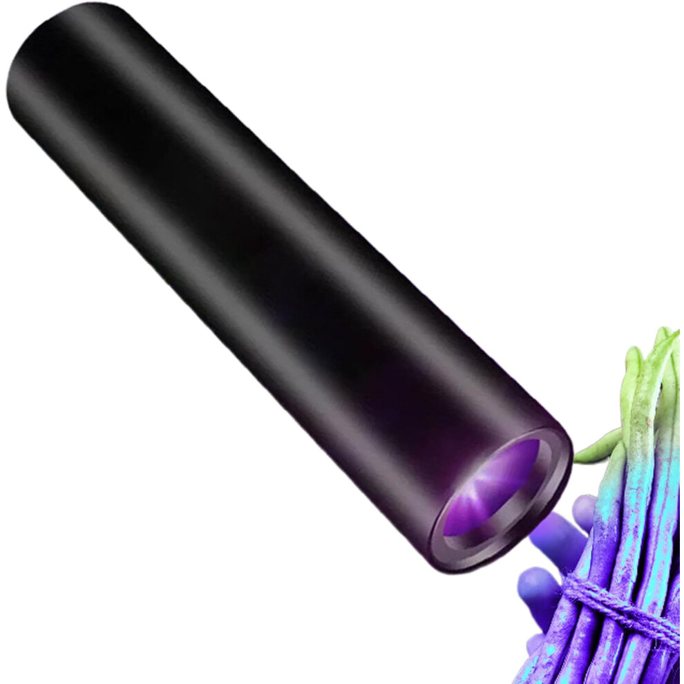 UV Light Flashlight | UV Flashlight Light Torch | Portable Small LED Torch for Furniture Clothing Dog Cat Urine Dry Stains Bed Inspection Detection