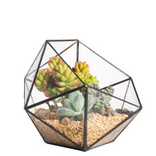 NCYP Glass Terrarium Planter for Succulents, Bowl Shape Open Geometric Plant Terrarium, Clear Centerpiece, Indoor Balcony Tabletop Decor, Black (No
