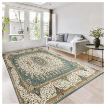 (240 x 320 cm (8 ft. x 10 ft. 6 in)- Extra Large Rugs Living Room Floor Carpet Indoor Outdoor Rug, Willow Green) Area Rugs Living Room Traditional Rug Soft Carpet