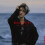 Tower Breaking Dawn  Japanese Ver.  Produced By Hyde  Regular Edition 1