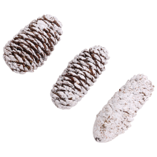 20 stuks dennenappeldecoraties, natuurlijke sneeuw dennenappels, grote dennenappels, kerstversieringen in de vorm van dennenappels