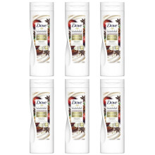 Care Secrets Body Lotion Relaxing Winter Ritual with Sandalwood, 250 ml (Pack of 6)