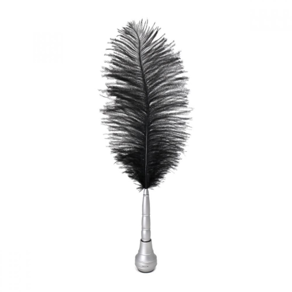 Tasha Shakesperian Quill Onyx Black Silver