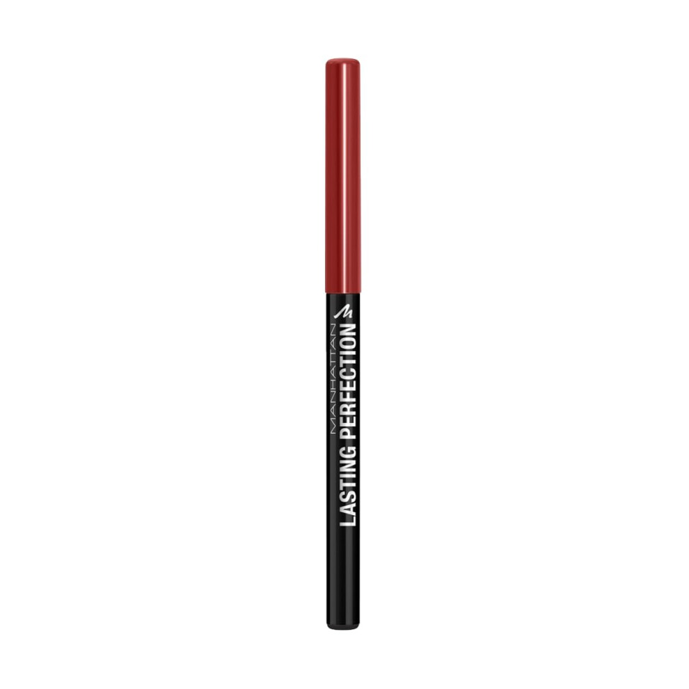 Lasting Perfection Lip Liner Colour 45 Epic Burgundy Long-Lasting Opaque Contour Pen, 2 g, Pack of 1