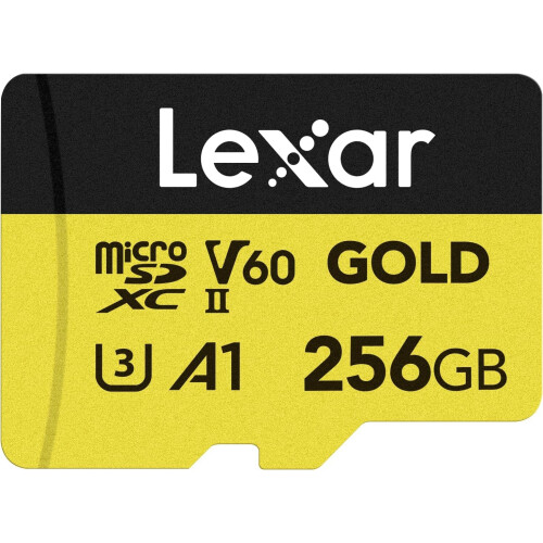 Lexar Lexar - LMSGOLD256G-BNNNG - Memory card