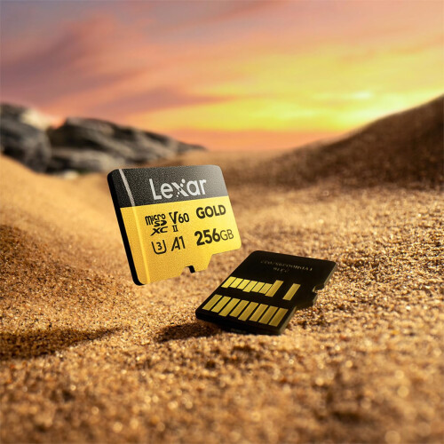 Lexar Lexar - LMSGOLD256G-BNNNG - Memory card 1