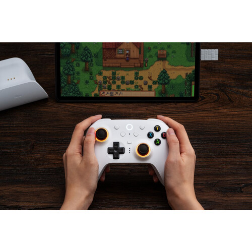 Ultimate 2 Wireless Controller for Windows & Android, Gaming Controller with TMR Joysticks, Switchable Hall Effect/Tactile Triggers, Motion Control, 1