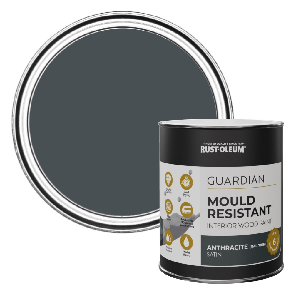 Rust-Oleum Guardian Mould Resistant Interior Wood Paint In Satin Finish - Anthracite (Ral 7016) 750Ml Grey