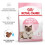 Royal Canin Royal Canin tørfoder til katte Mother & Baby Kat 2 kg 12