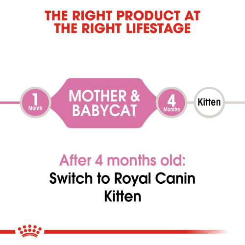 Royal Canin Royal Canin tørfoder til katte Mother & Baby Kat 2 kg 1