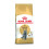 Royal Canin Brits Korthaar 34 10KG 1