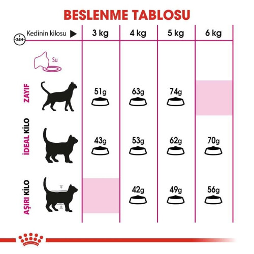 Royal Canin Royal Canin Nutrizione Feline - Crocchette - 4 kg 1