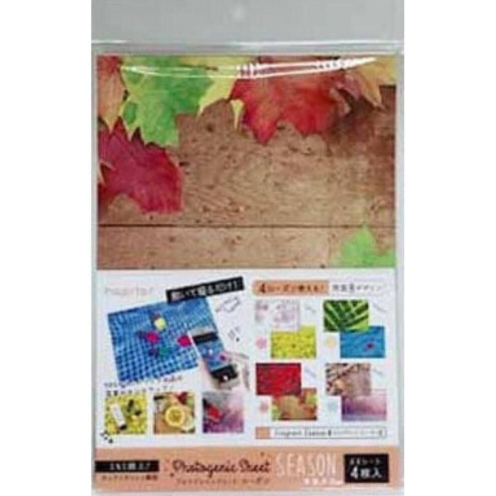 Oshi Katsu Oshi Katsu  Photography Backgrounds  Fragrant  4p