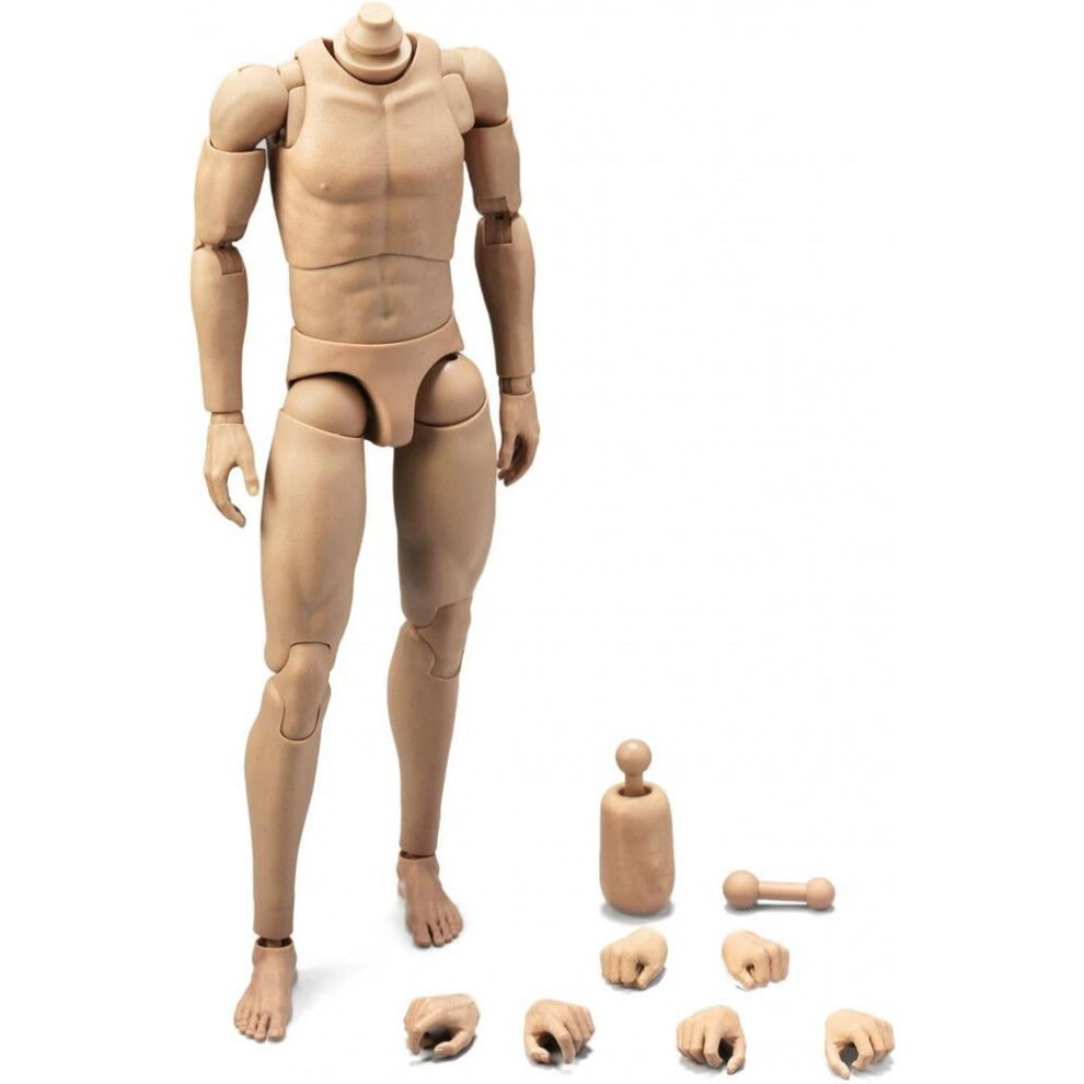 Null 1 6 Male Body B