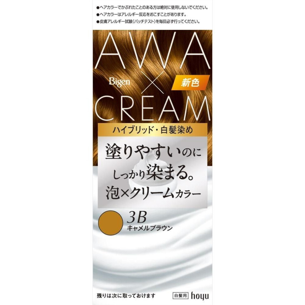 Big Ken Hou Big Cream Foam Color 3b Camel Brown 90g+5ml