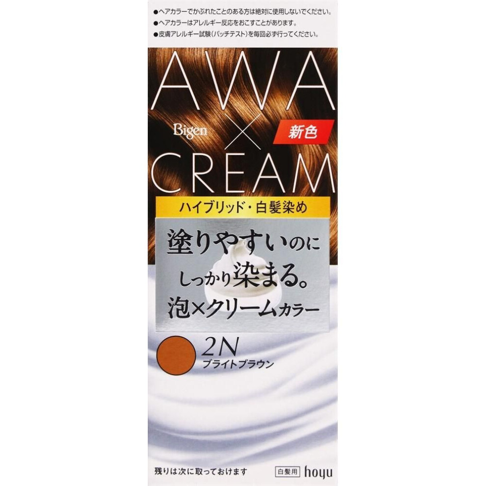 Big Ken Hou Big Cream Foam Color 2n Blue Brown 90g+5ml