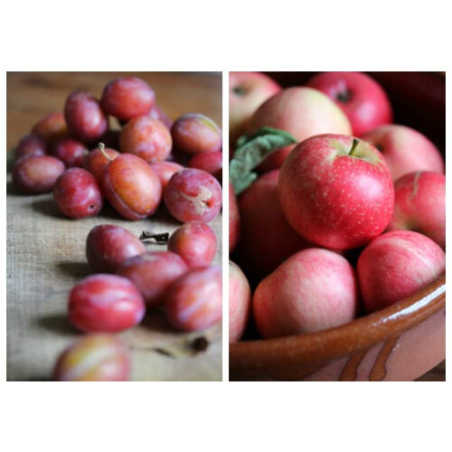 2 Pack - FruttaMax Apple Plum Cinnamon Syrup | Less Sugar | 60% Real Fruit Concentrate | Suitable for soda Machine 2x500ml 1