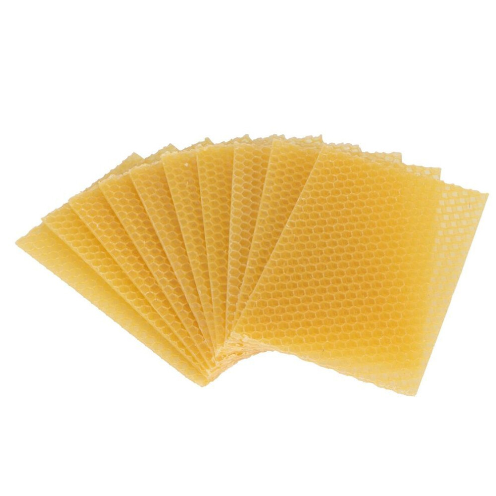 10pcs Beekeeping Beeswax Foundation Beehive Wax Frame For Furniture Floor Polishing