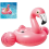 Riesenflamingo 2