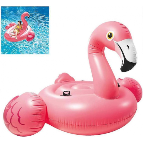 Riesenflamingo 1
