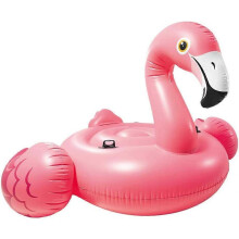 Riesenflamingo