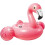 Riesenflamingo 1